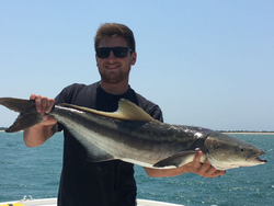 Cobia Bounty In Morehead City, NC